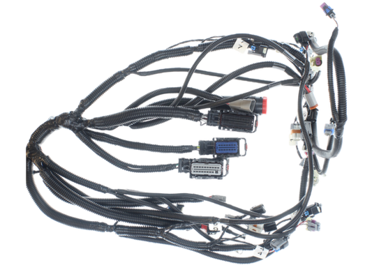 50V Engine Harness PL00525