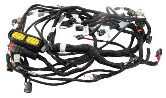 Wiring Harness PL00666